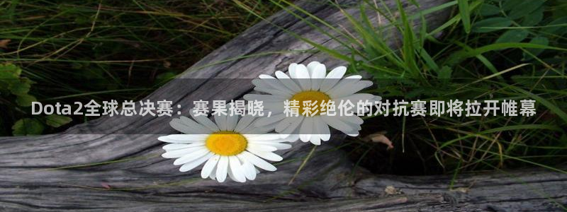 赢咖娱乐4招商：Dota2全球总决赛：赛果揭晓，精彩绝伦的对