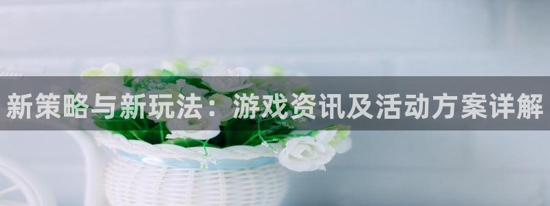 赢咖娱乐什么意思：新策略与新玩法：游戏资讯及活动方案详解