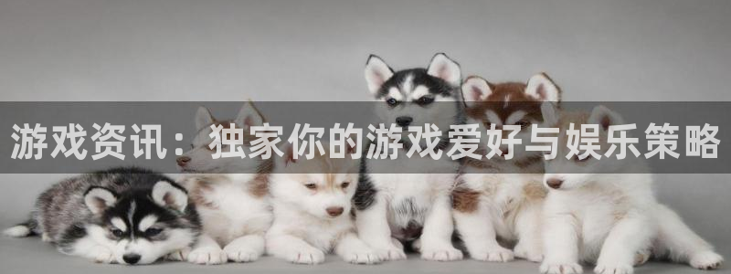 赢咖娱乐注册：游戏资讯：独家你的游戏爱好与娱乐策略