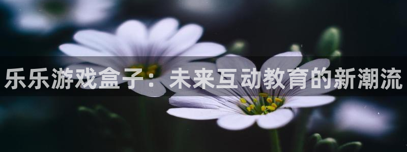 赢咖娱乐注册地址：乐乐游戏盒子：未来互动教育的新潮流