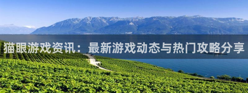 赢咖娱乐4开户：猫眼游戏资讯：最新游戏动态与热门攻略分享