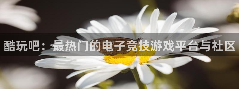 赢咖娱乐娱乐是真的吗：酷玩吧：最热门的电子竞技游戏平台与社区