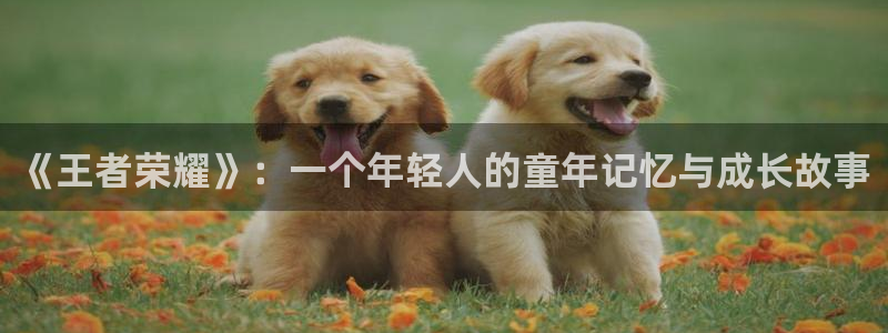 赢咖娱乐4开户：《王者荣耀》：一个年轻人的童年记忆与成长故事