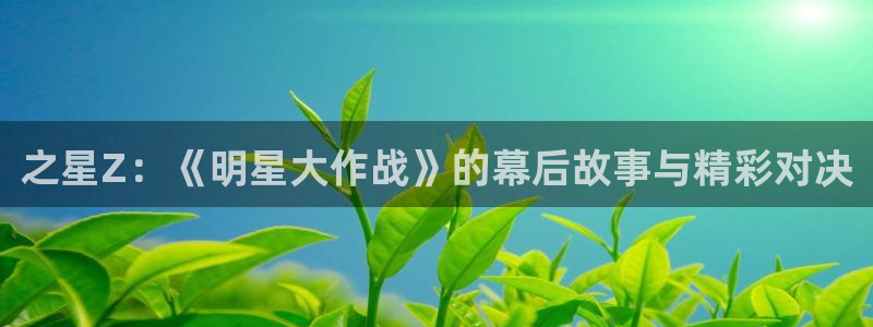 赢咖娱乐平台负责人：之星Z：《明星大作战》的幕后故事与精彩对
