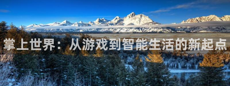 赢咖娱乐注册开户：掌上世界：从游戏到智能生活的新起点