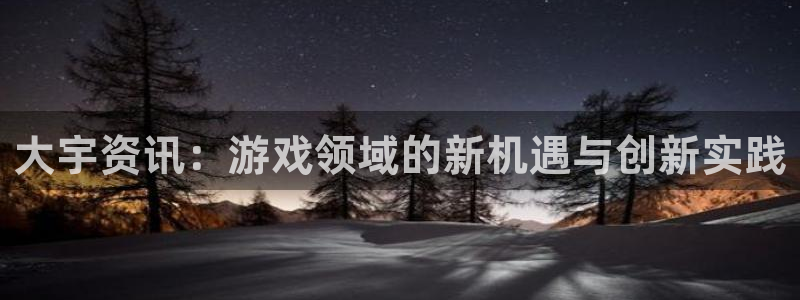 赢咖娱乐网页登录入口：大宇资讯：游戏领域的新机遇与创新实践