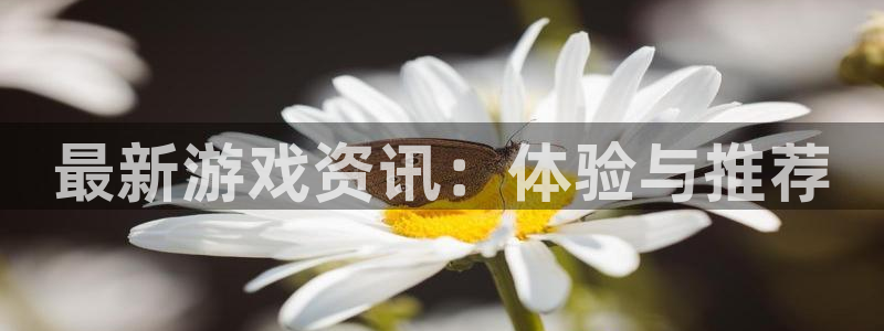 赢咖娱乐注册地址：最新游戏资讯：体验与推荐